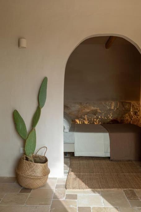Villa Rocca 1914 奇斯泰尼诺 外观 照片